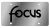 S.S. License Plates-Focus
